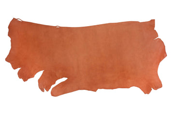 Light Chestnut Skirting Special