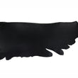Load image into Gallery viewer, Side of ChahinLeather Black Bridle Penetrated with Colorfast
