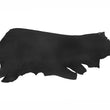 Load image into Gallery viewer, Side of ChahinLeather Black Latigo
