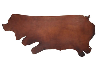 Side of ChahinLeather Medium Brown Bridle