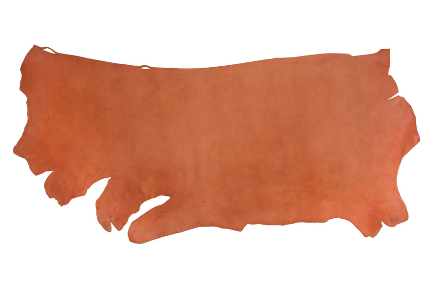 Light Chestnut Skirting Special