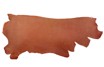 Chestnut Skirting Special