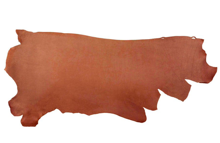 Chestnut Skirting Special