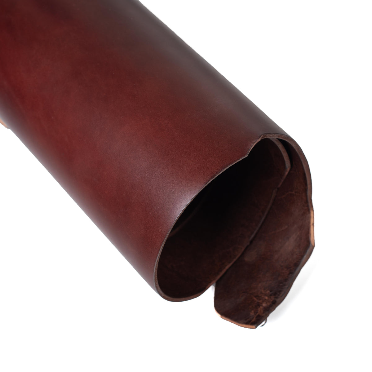 Rolled side of ChahinLeather Sunset Harness with Colorfast