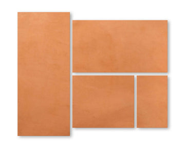 Golden holster strap collage