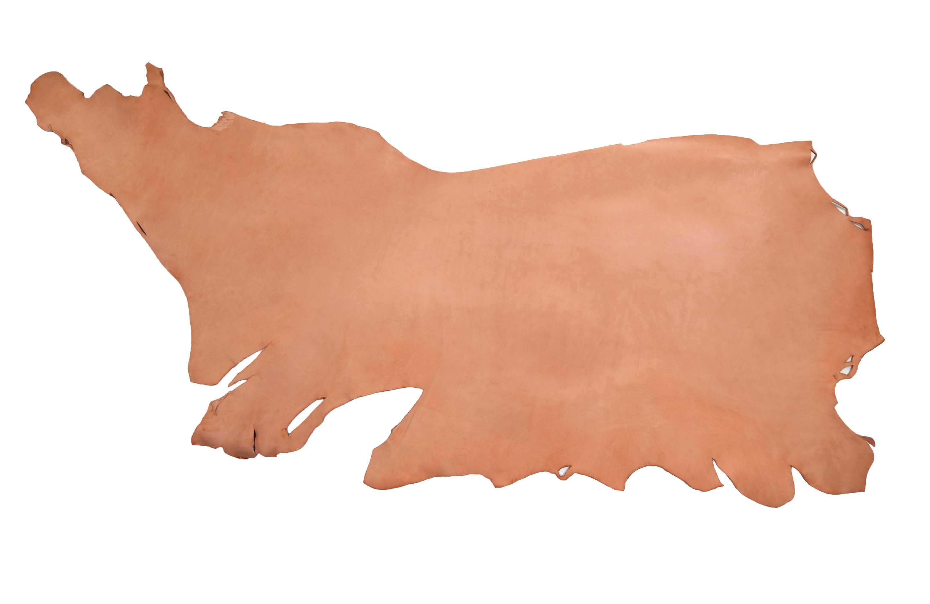 ChahinLeather Economy Golden Skirting | American Leather Direct